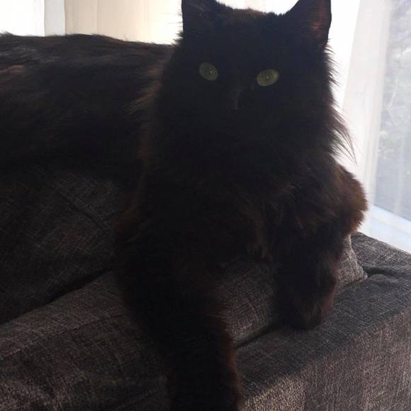 Meet your Posher, Jay - Picture 1 of 1